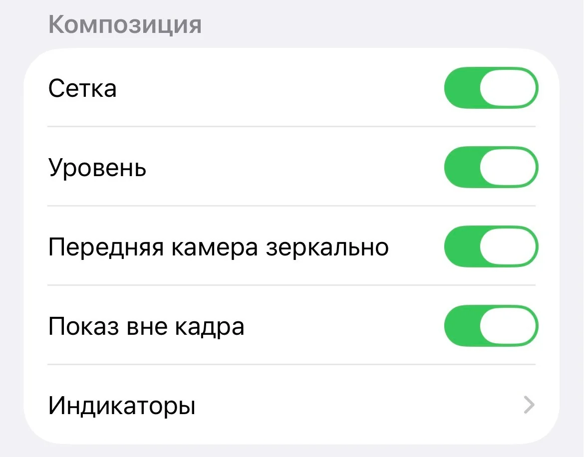 Настройки iPhone: сетка, уровень и зеркальное отображение передней камеры